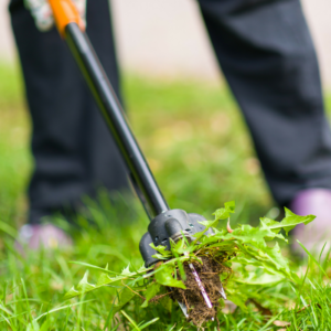 Luhrmann Environmental Services Weed control Weed Maintenance