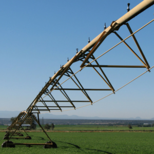 Irrigation Plans and maintenance
