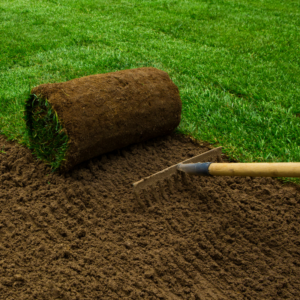 Turf Management, Installation and Establishment.
